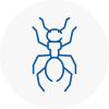 Ant Removals In Wallington