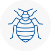 Bed Bug Extermination In Wallington