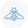 Bee Nest Removal Wallington