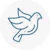 Bird Prevention Wallington