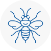 Wallington Hornet Nest Removals
