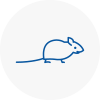 Mice Exterminators In Wallington
