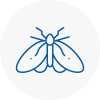 Moth Control Specialists In Wallington