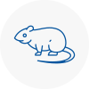 Rat Control Wallington