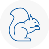 Wallington Rodent Removals