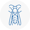 Wallington Wasp Nest Removal